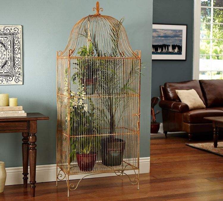 what room should a bird cage be in (2)