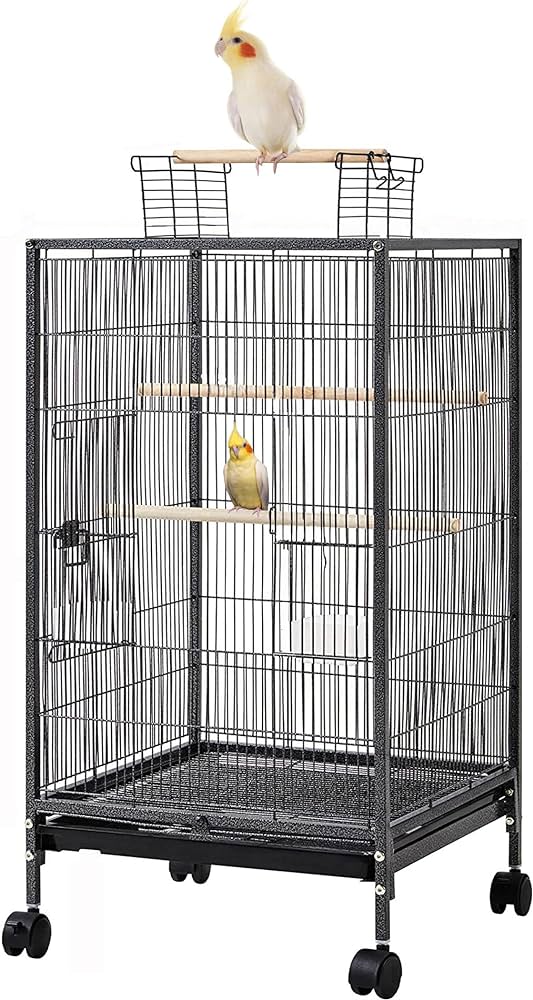 top 10 extra large parrot cages for spacious avian living (1)