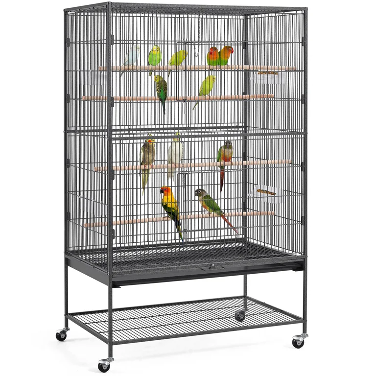 what cage is best for a parrot (1)