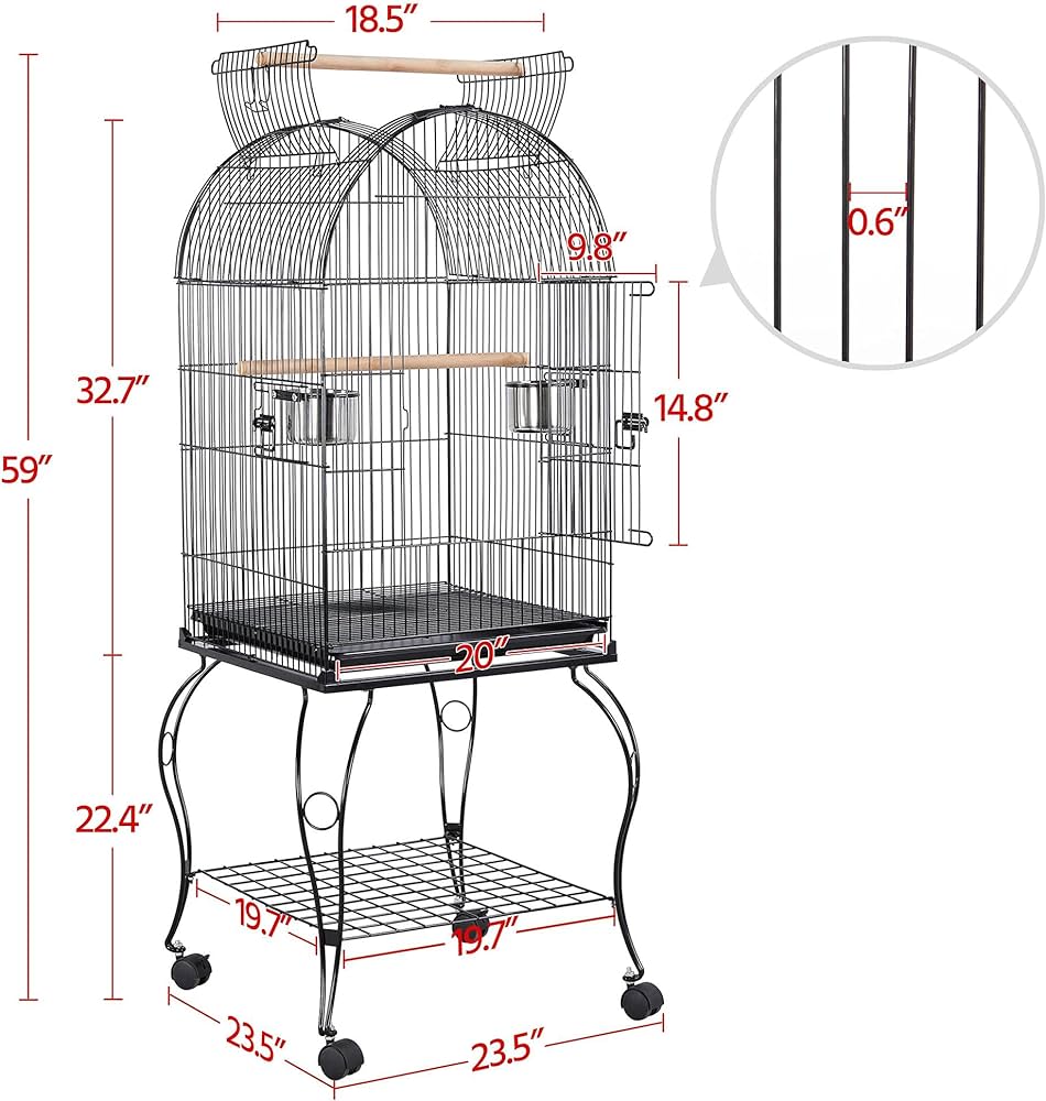 what cage is best for a parrot (2)