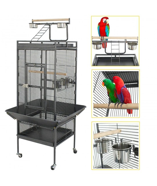 what cage is best for a parrot (3)