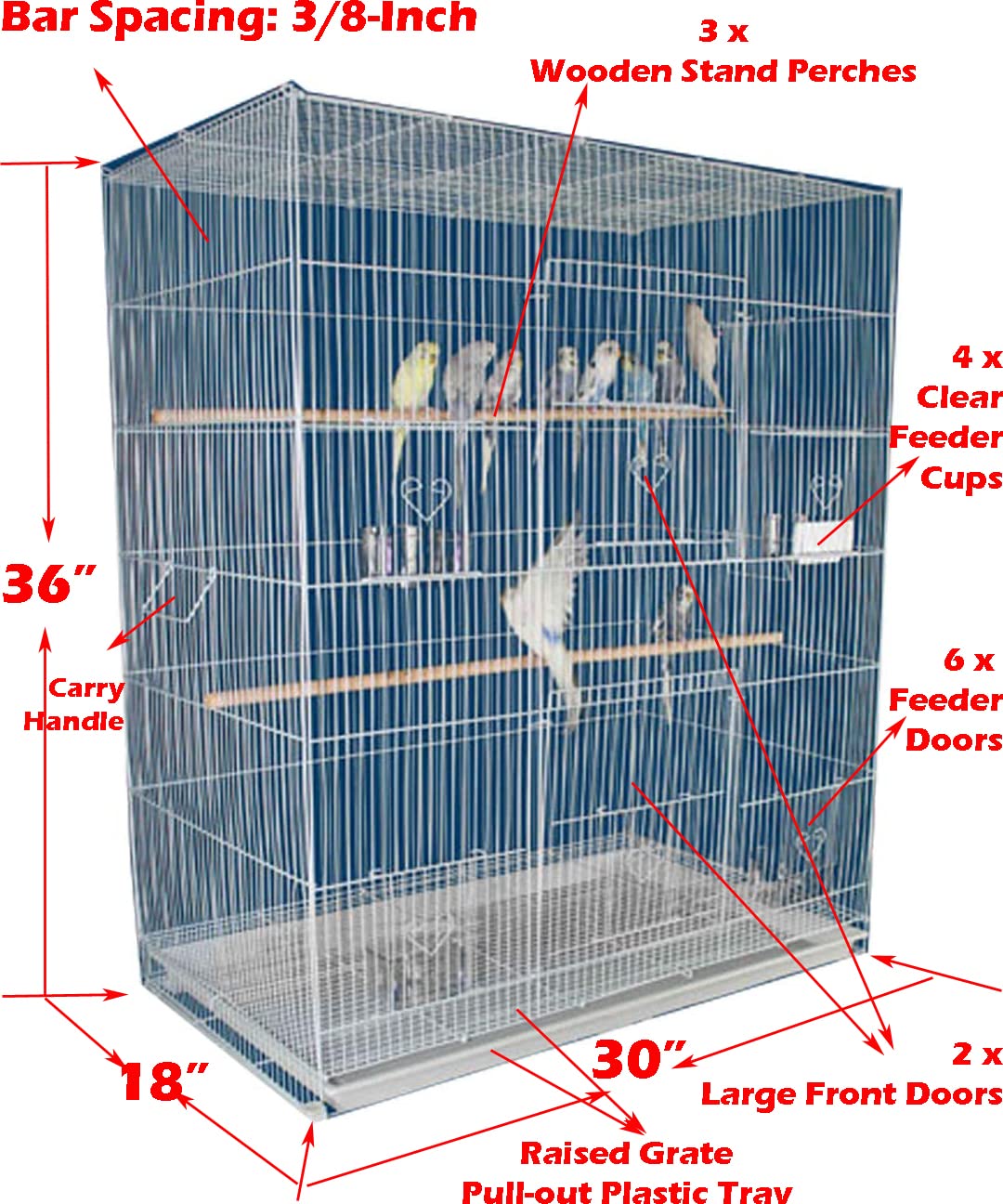 which cage is best for birdsdo birds prefer tall or wide cages (1)