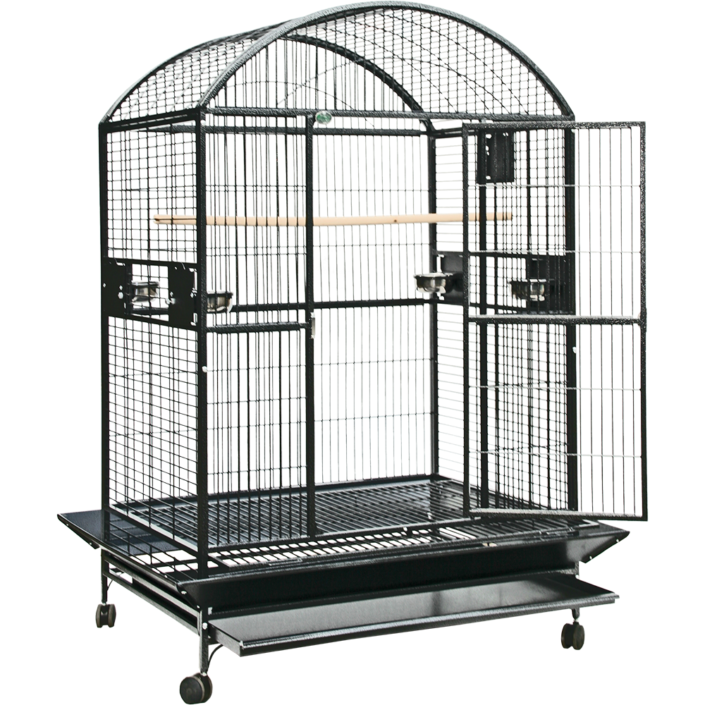 which cage is best for birdsdo birds prefer tall or wide cages (2)